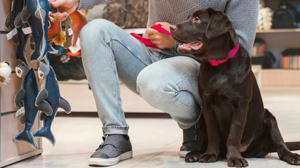8 Easy Pet Costume Ideas for Pets Who Refuse To Dress Up