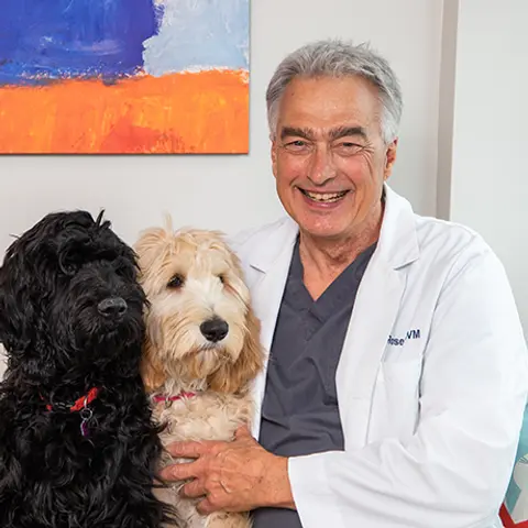 Dr. Gary Rose