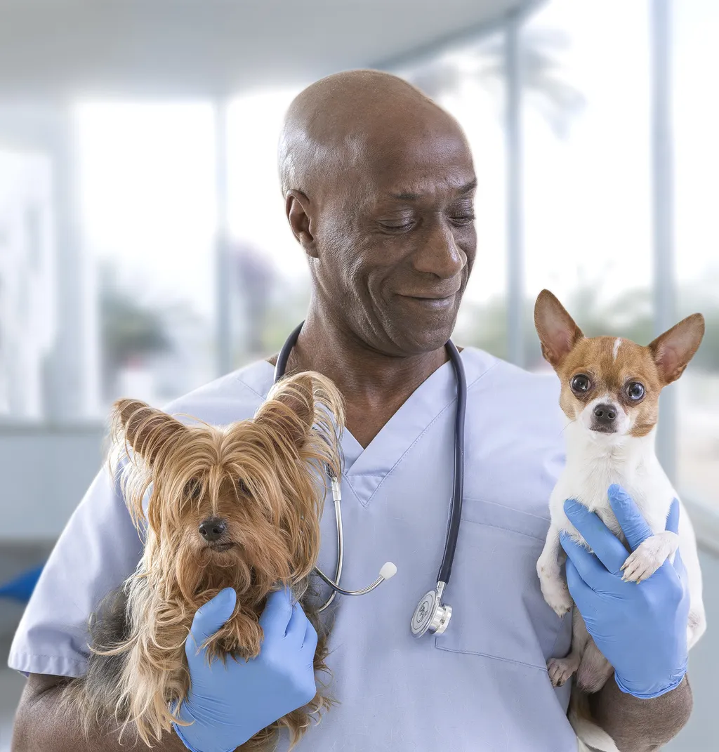 service_image_1