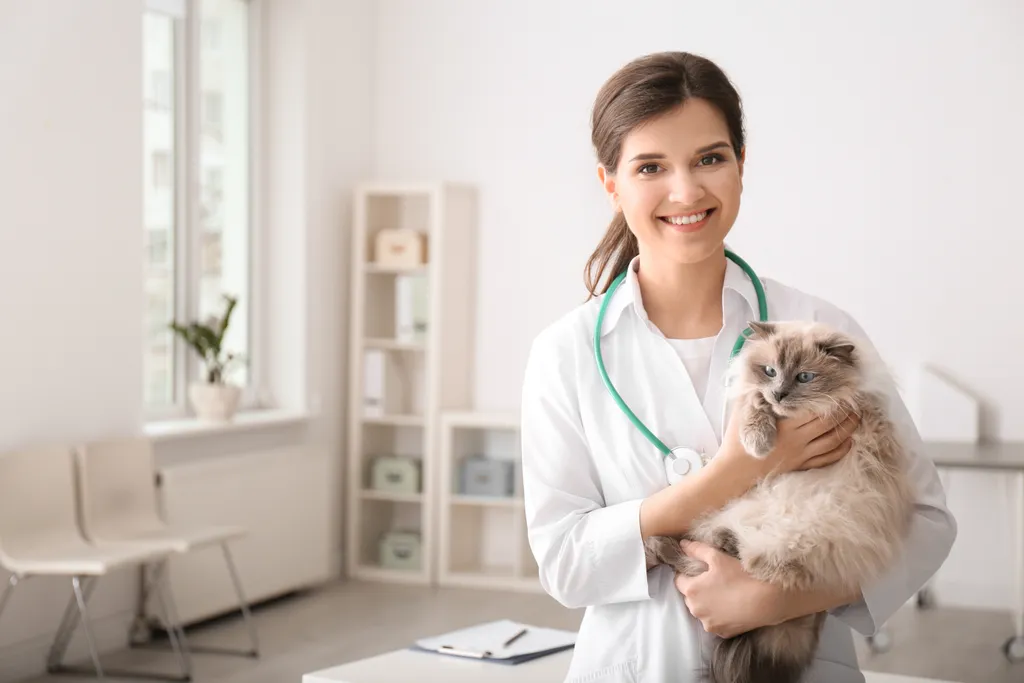 Join our Mission to Care.