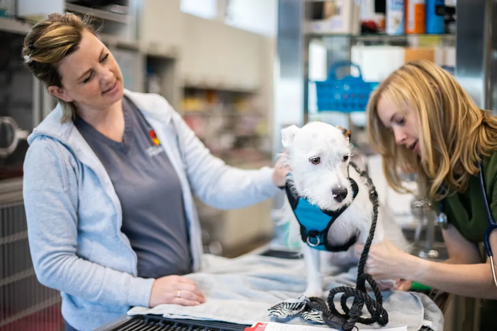 Join our Mission to Care.