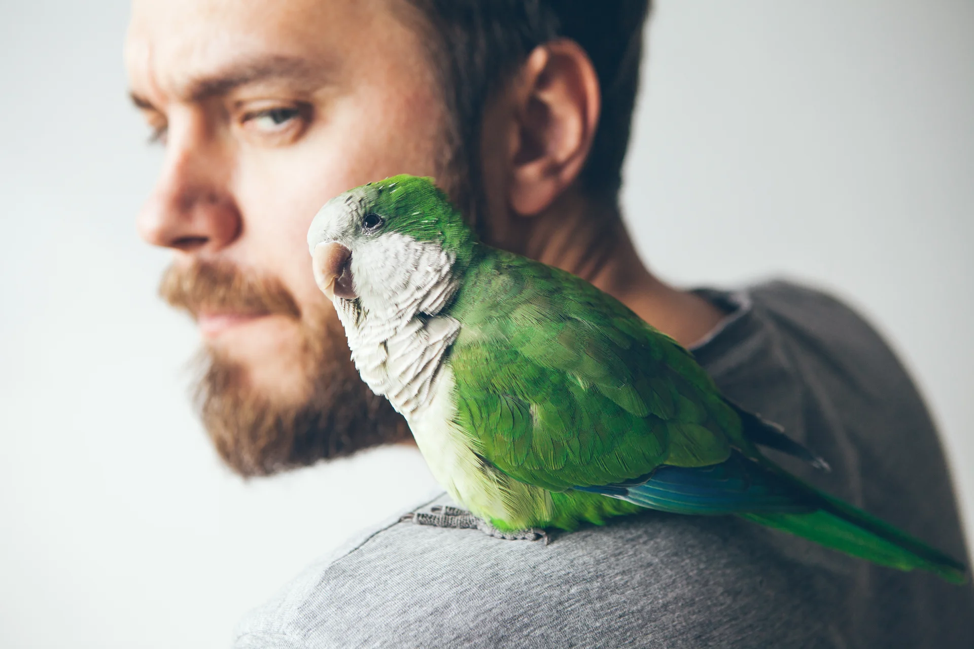 Exotic Pet Care