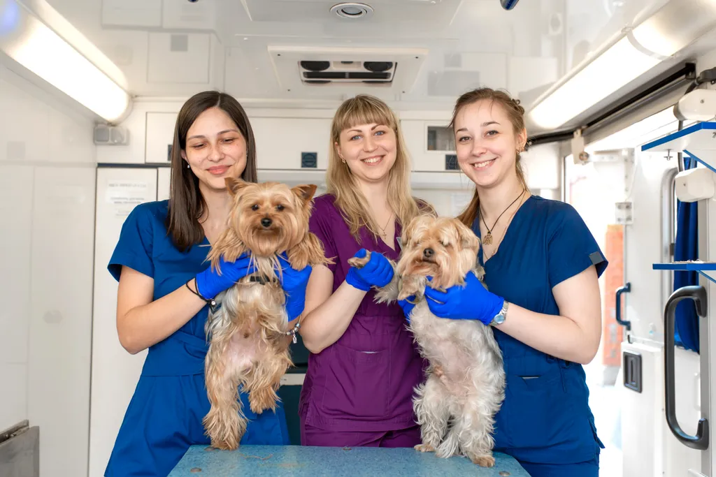 About Keene Veterinary Hospital
