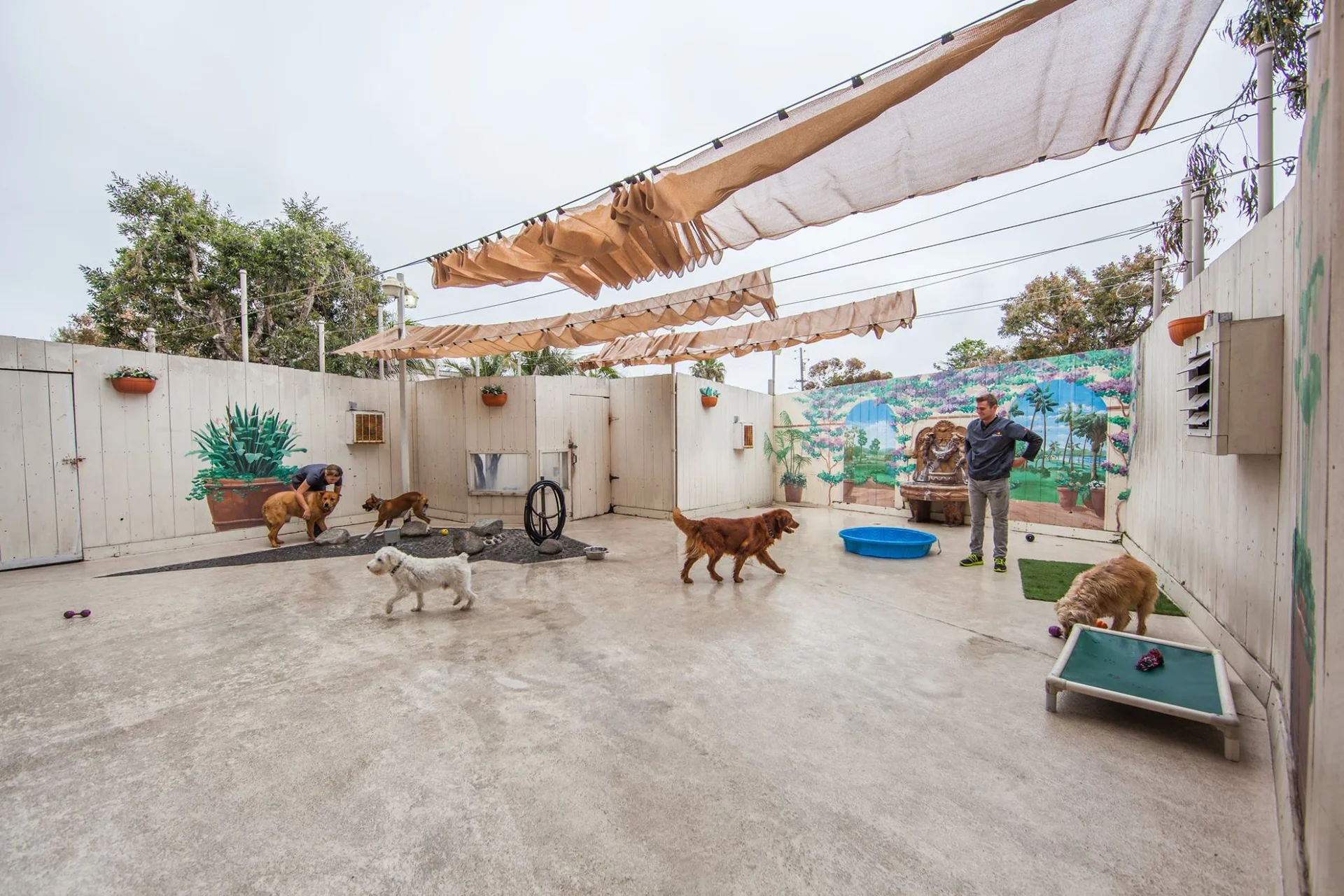 Boarding & Daycare