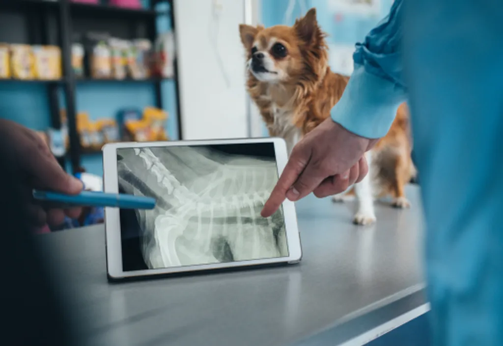 Diagnostics & Imaging