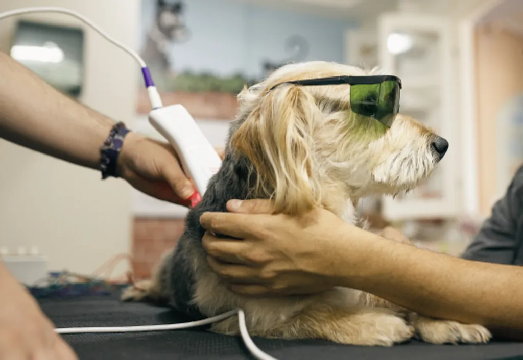 Laser Therapy