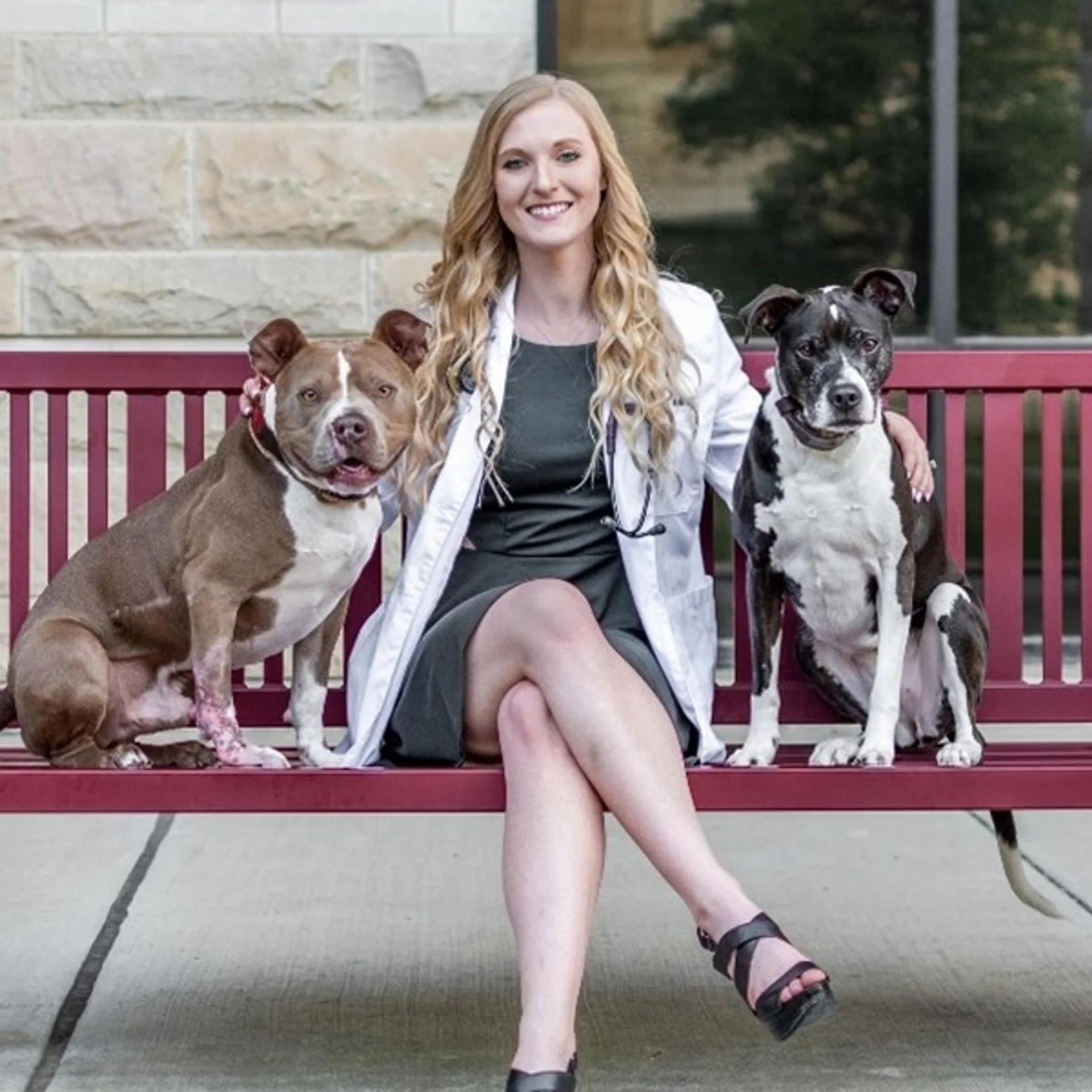 Dr. Taylor Curtis