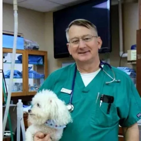 Dr. Robert A. Early