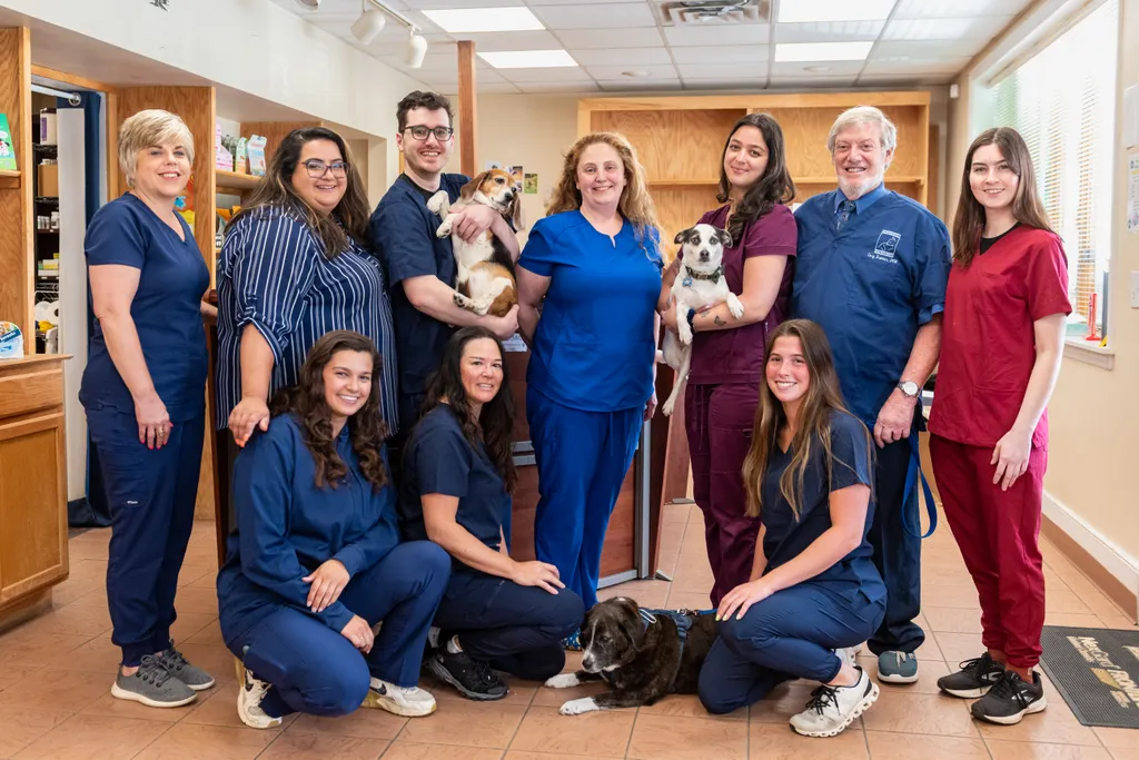 Join our Mission to Care.