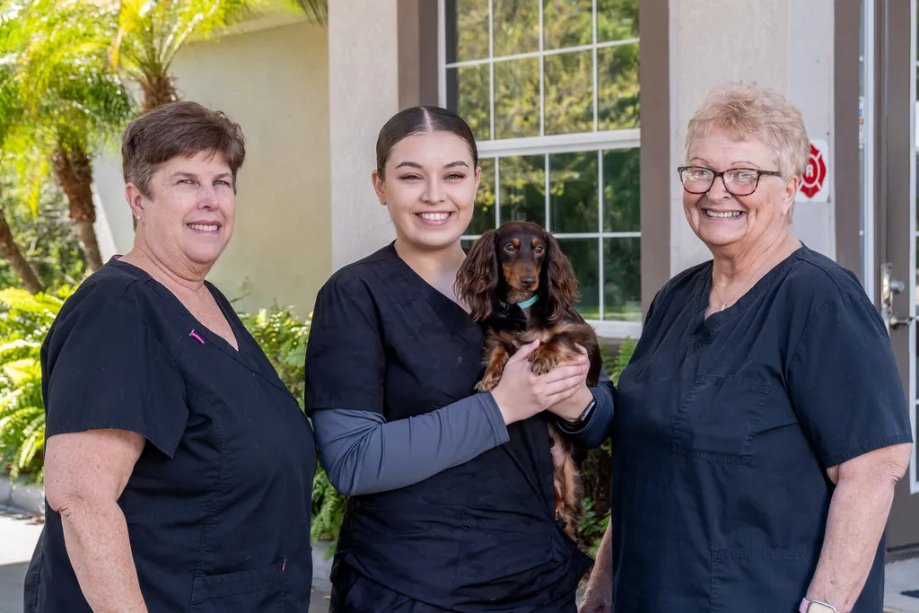 Join our Mission to Care.