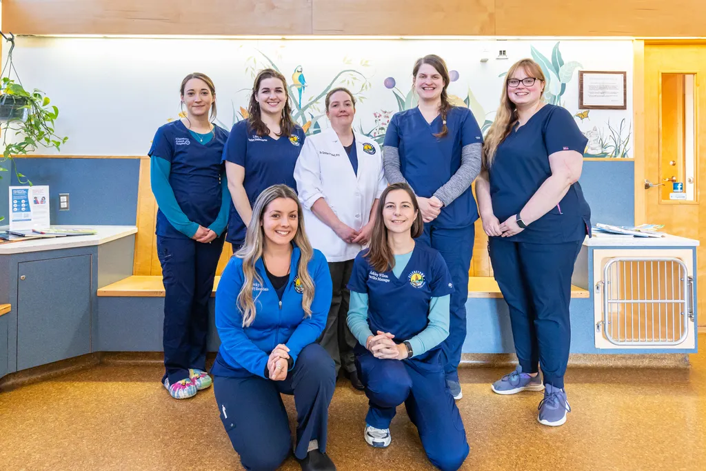 Join our Mission to Care.