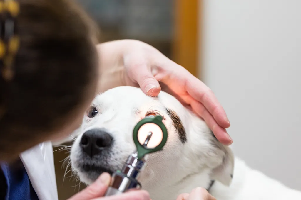 service_image_1