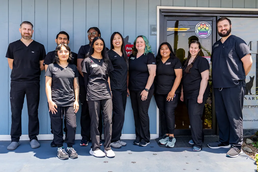Join our Mission to Care.