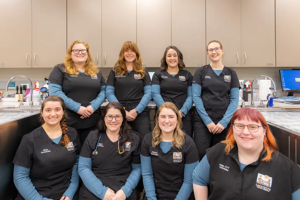 About Lafayette Animal Hospital