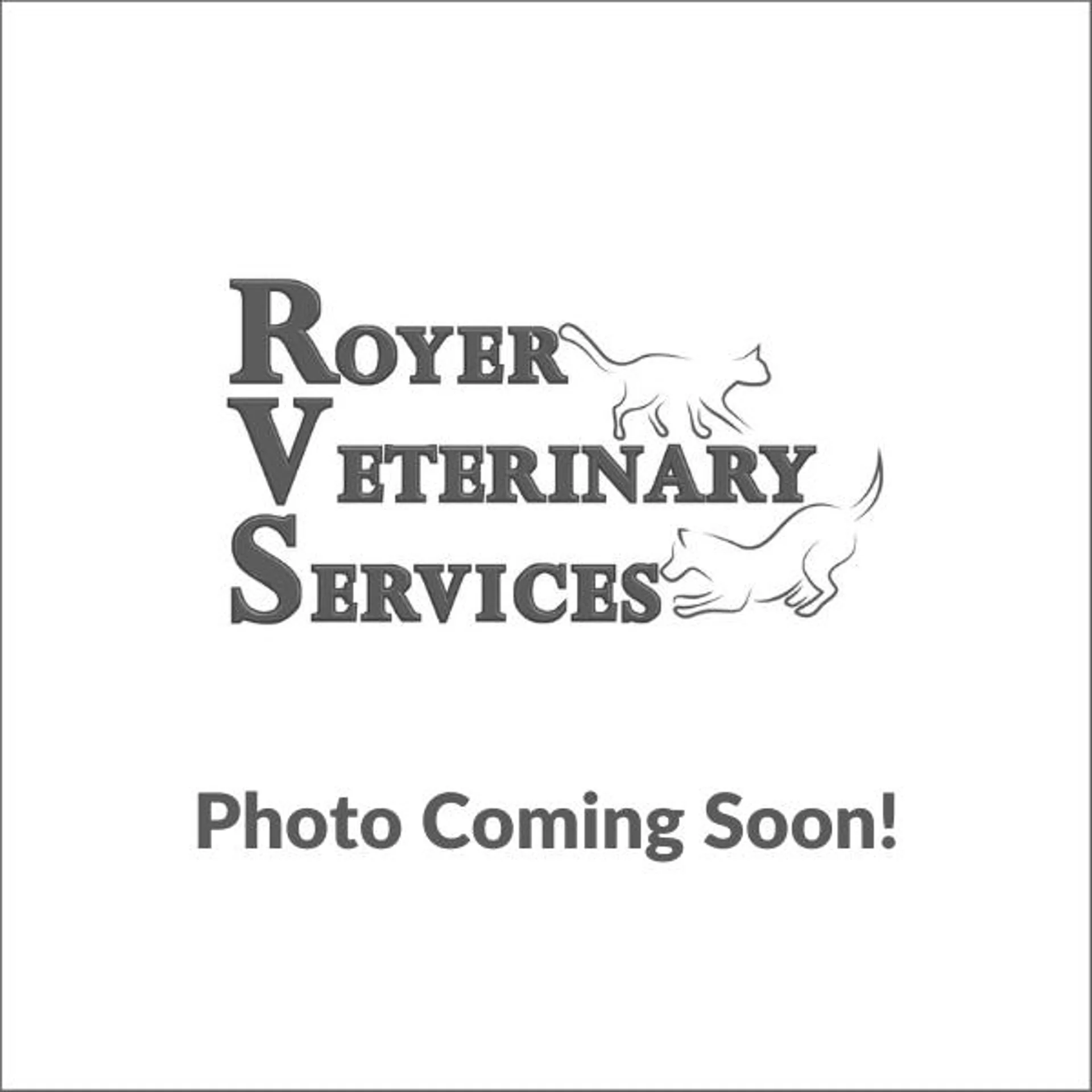 Dr. Royer