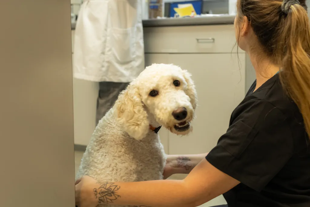 Join our Mission to Care.