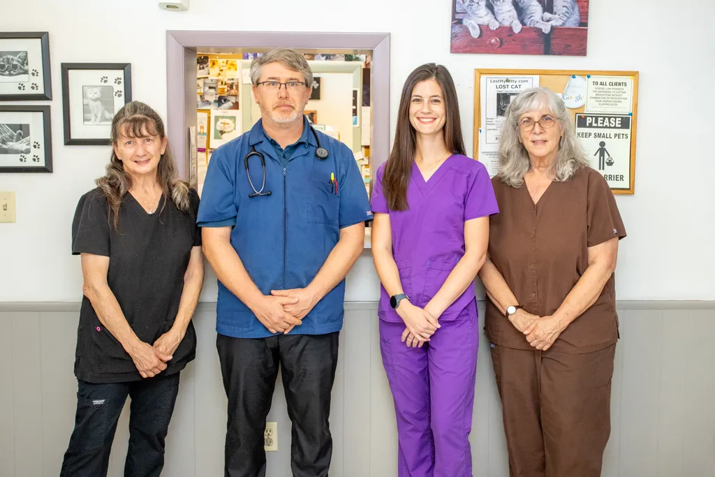 Join Our Veterinary Team