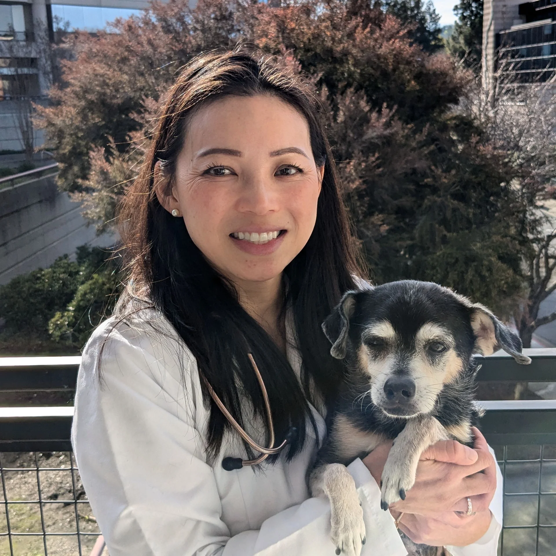 Dr. Brenda Tam