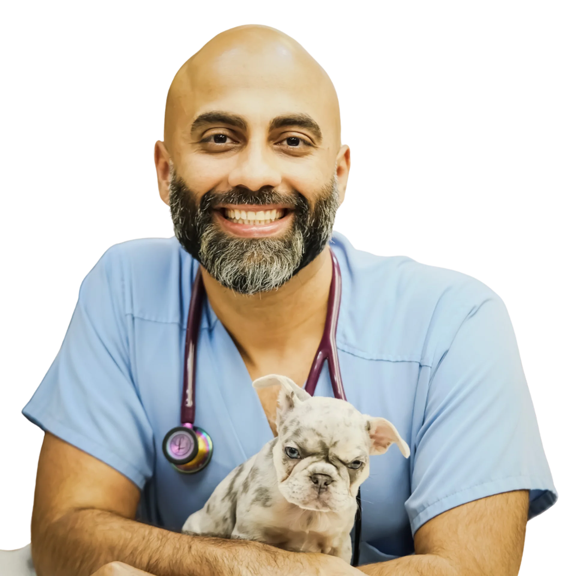 Dr. Ankur Gill