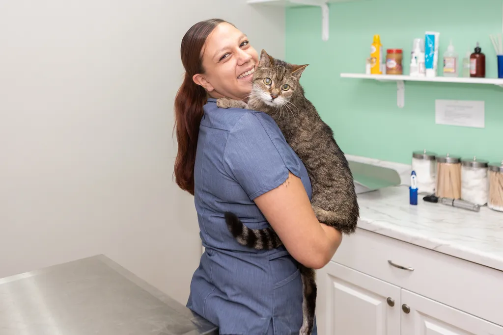 Join our Mission to Care.