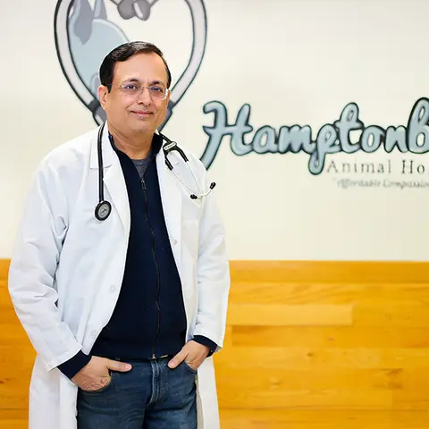 Dr. Ajay Madaan