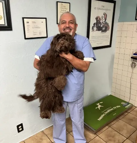 Dr. Toledo