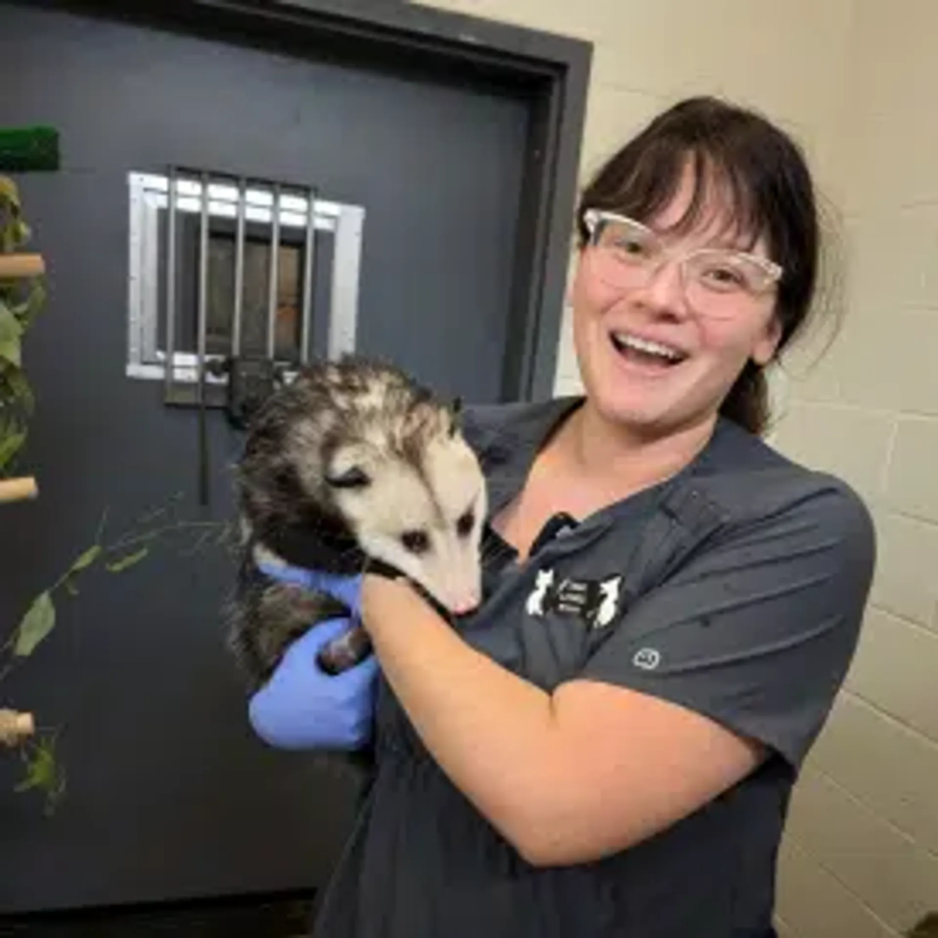 Dr. Christina Lewis