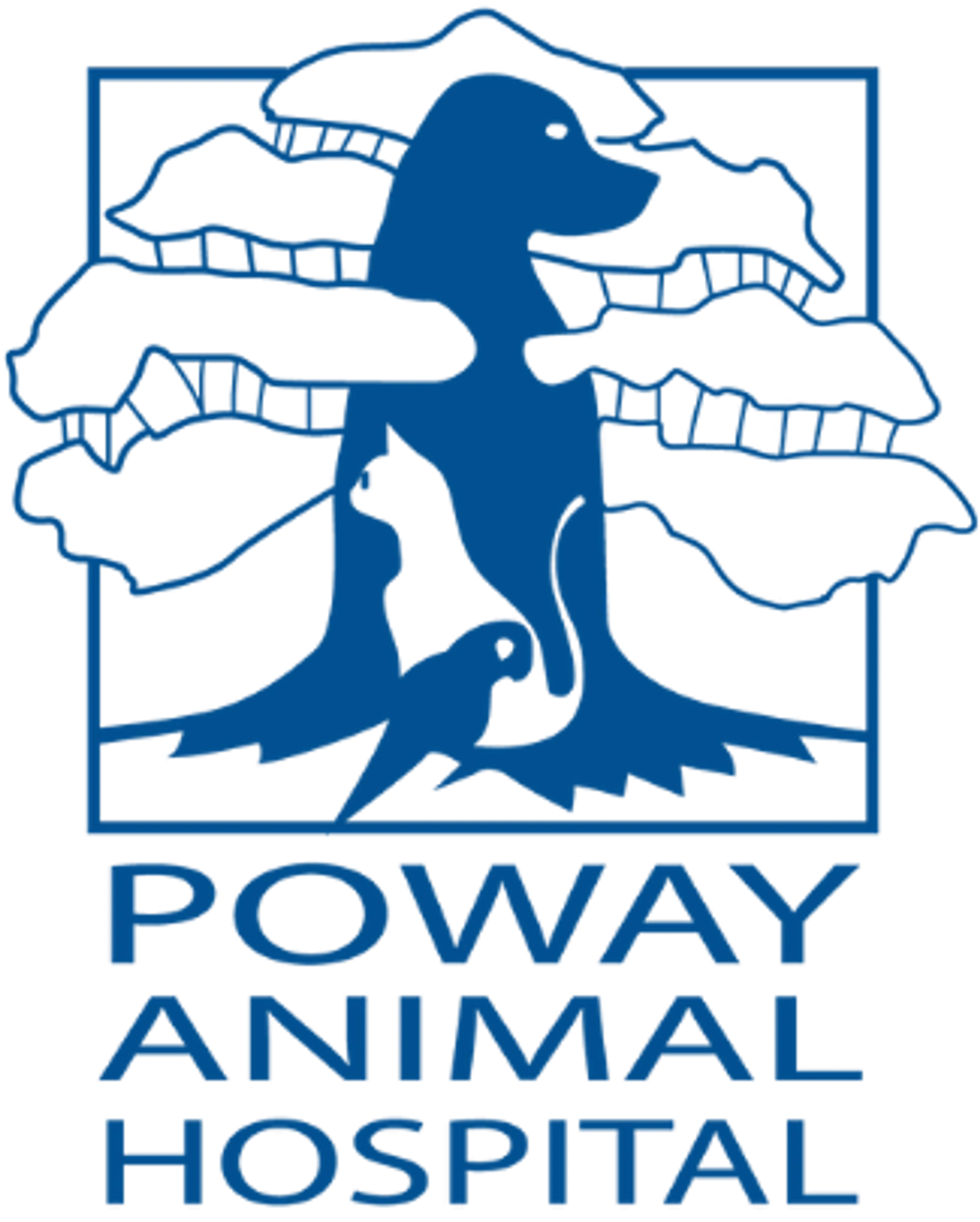 site-logo