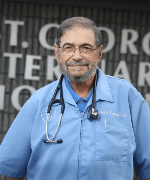 Dr. Joel Friedman