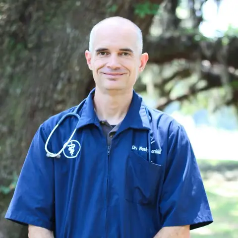 Dr. Noah Thornhill