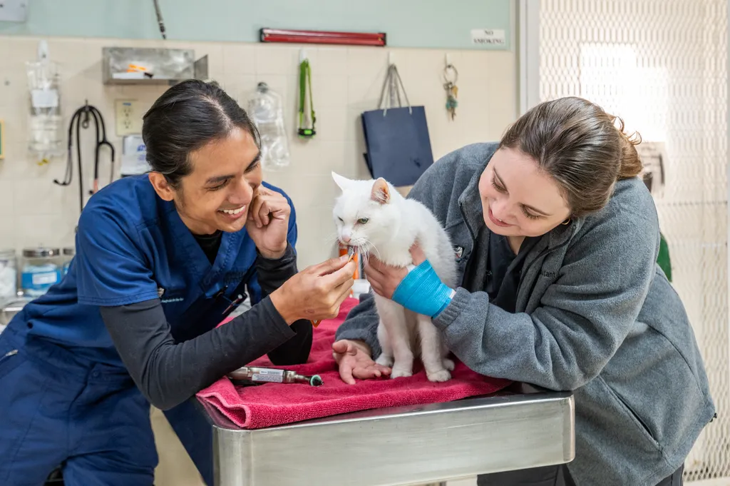 Join our Mission to Care.
