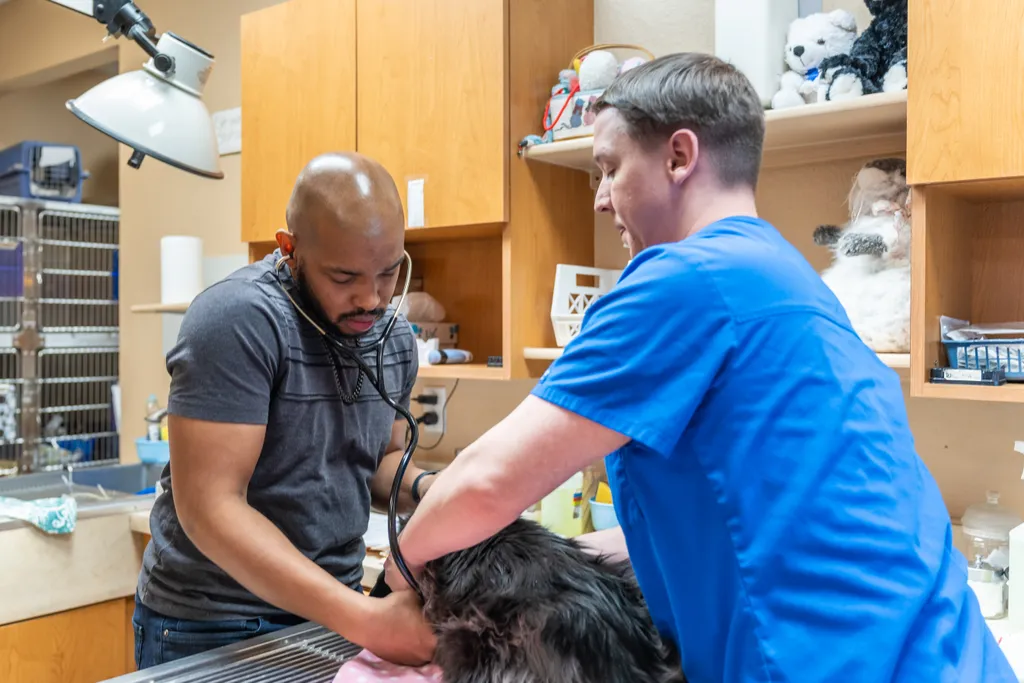 Join our Mission to Care.