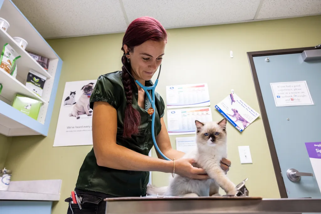 Join our Mission to Care.