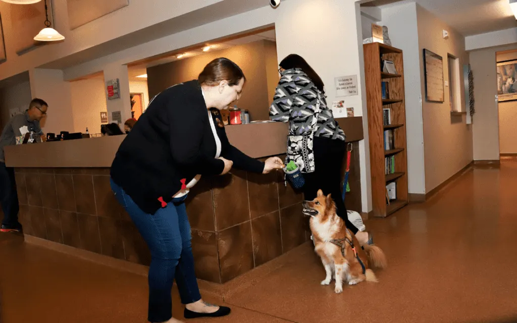 Are Nutritional Supplements Right For My Dog?
