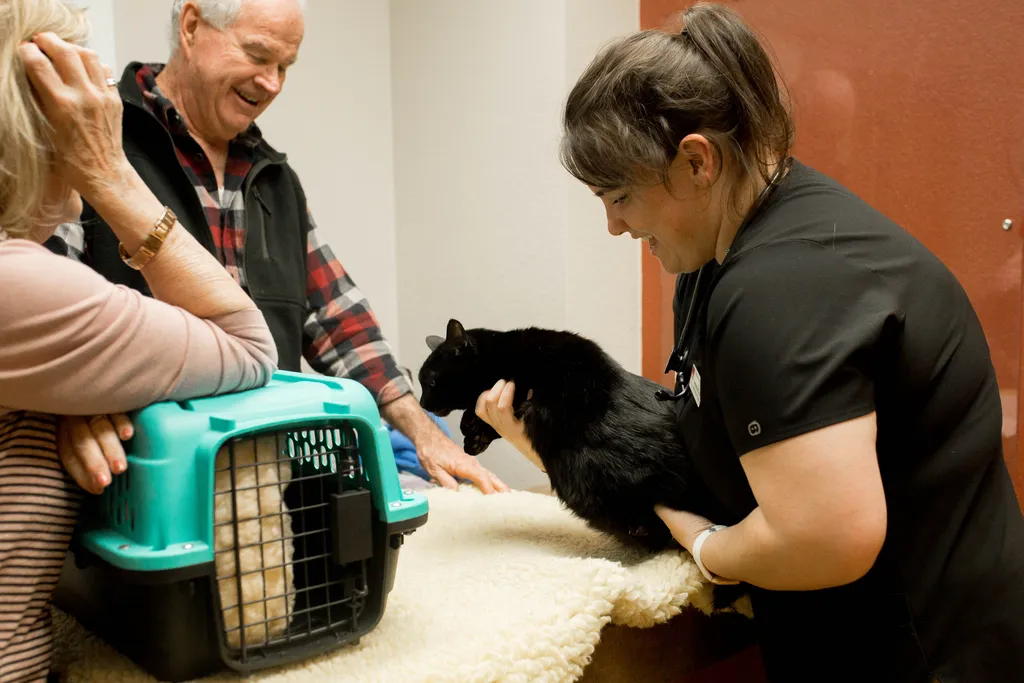 Join our Mission to Care.