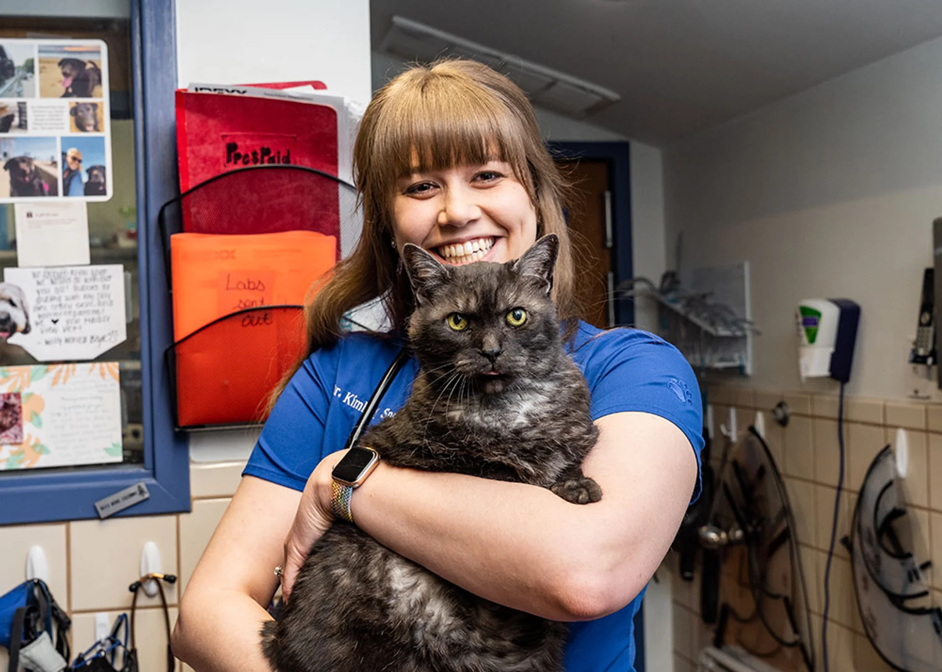 Harbor View Veterinary Hospital-image 