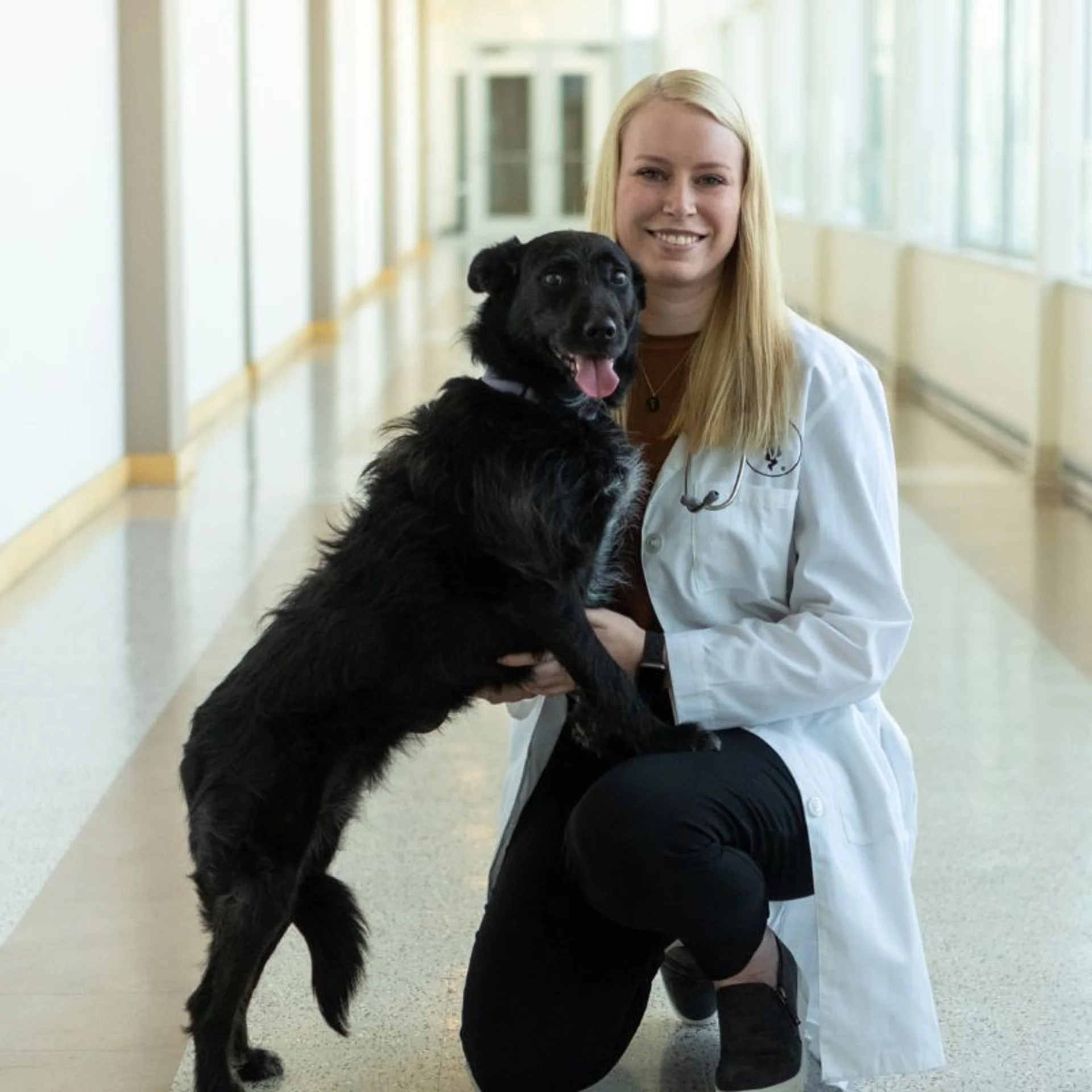 Dr. Paulson