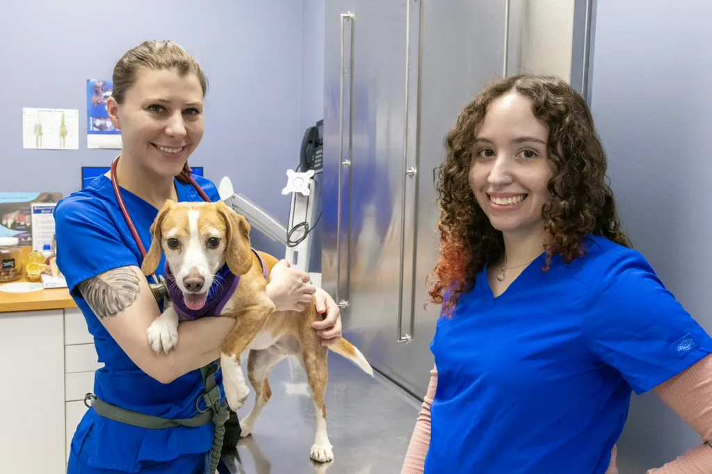 Join our Mission to Care.