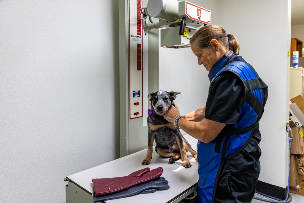 service_image_1