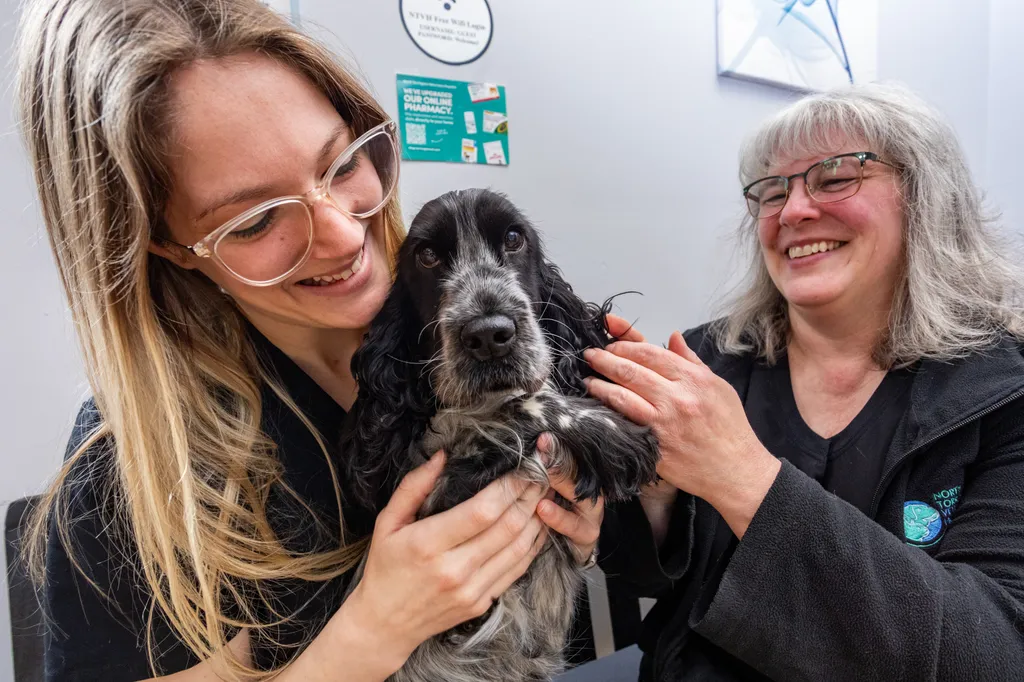 Join our Mission to Care.
