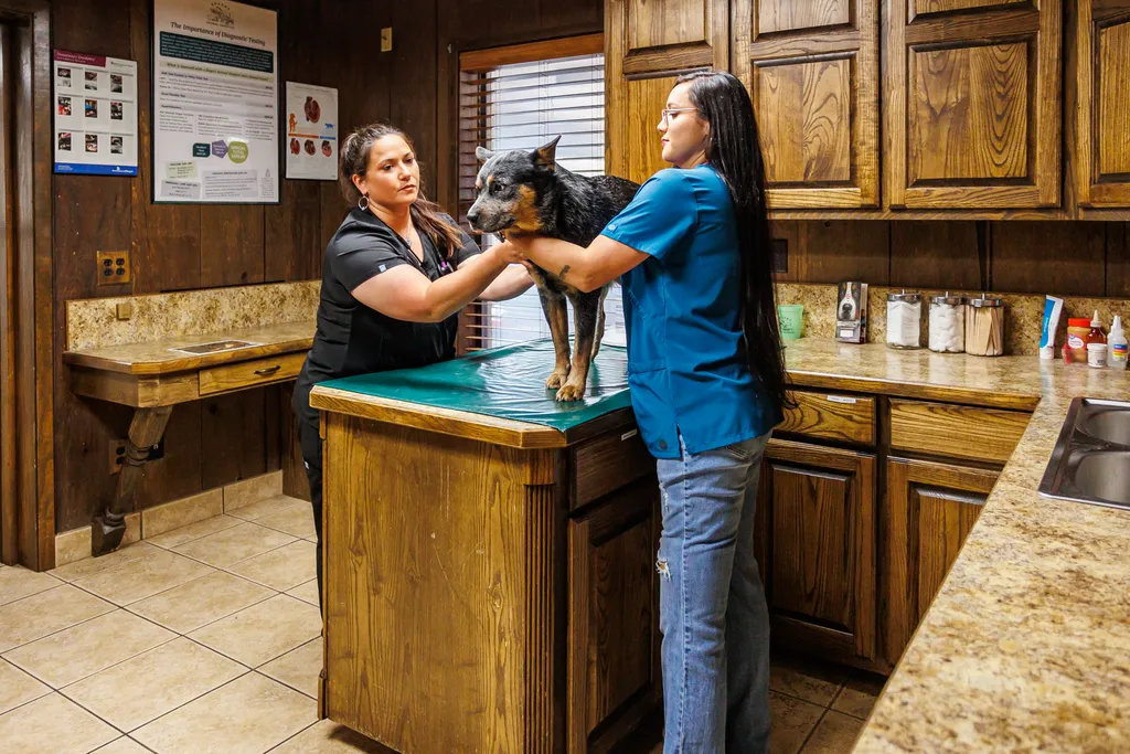 service_image_1