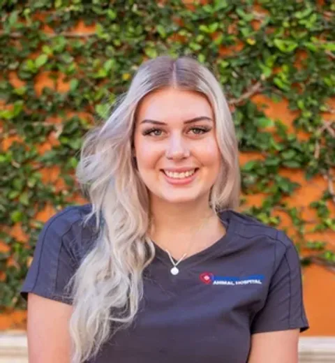 Alexa