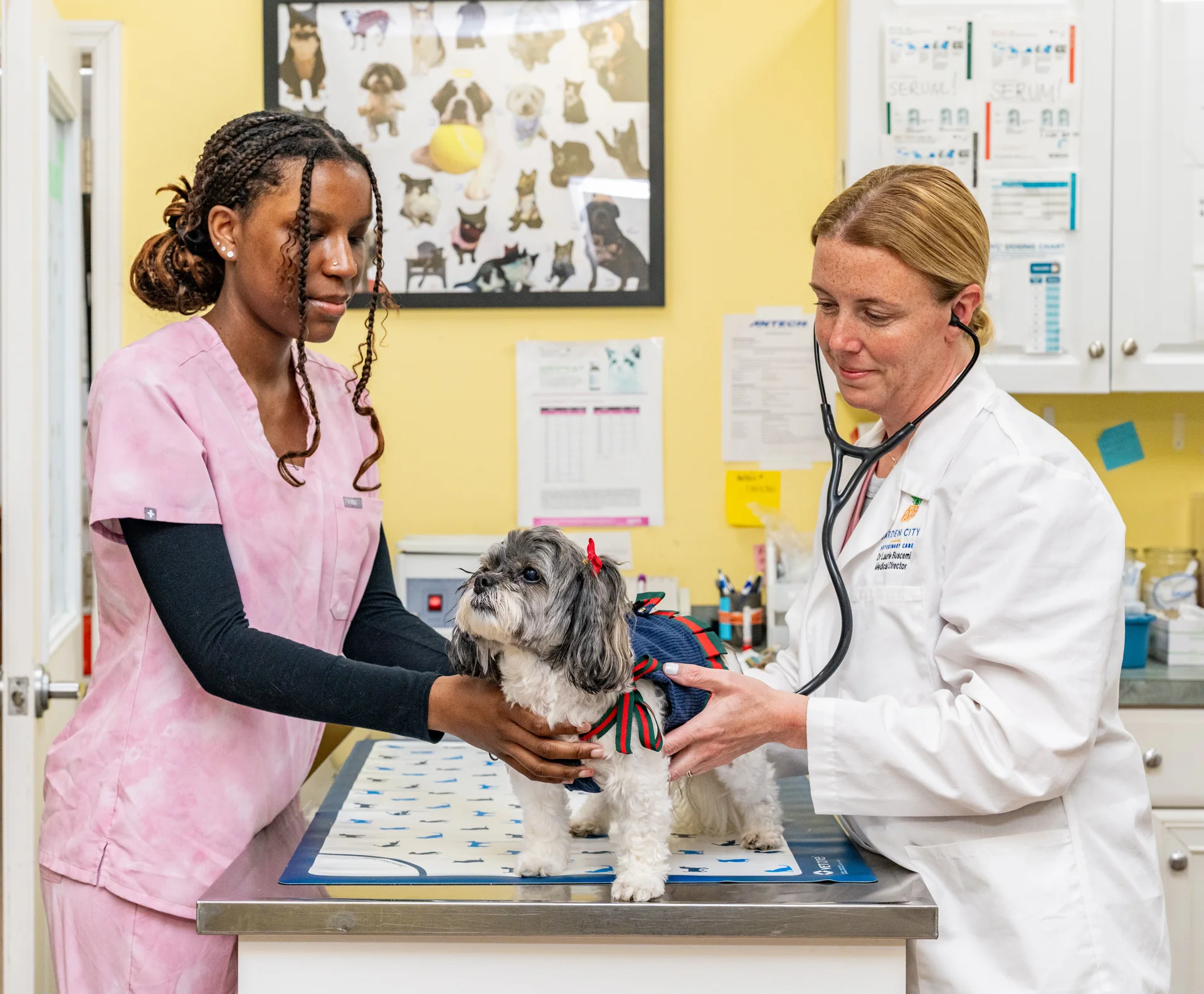 Garden City Veterinary Care-image 